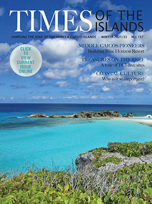 times-of-the-islands-2022-winter_
